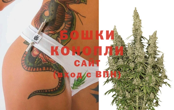 apvp Верхний Тагил